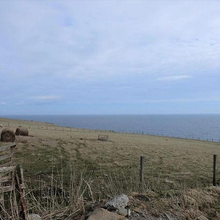 Fabulous Location With Sea And Castle View - Nc500 Bed and Breakfast Keiss Buitenkant foto